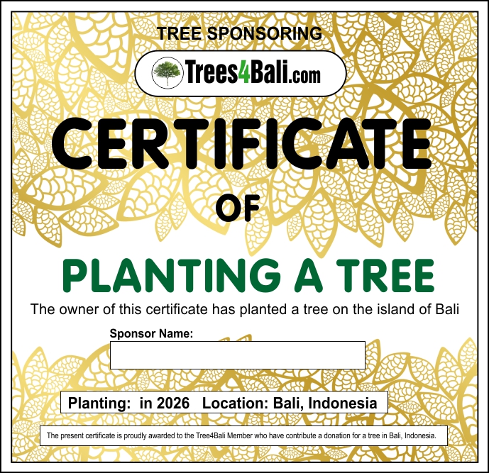 Certificate Trees4Bali